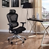 Lift Mesh Ergonomic Executive Chair - Black, Headrest - EEI-234-BLK
