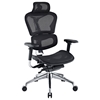 Lift Mesh Ergonomic Executive Chair - Black, Headrest - EEI-234-BLK