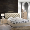 Grace Bedroom Set in High Gloss Zebra Cherry/Champagne - GLO-GRACE-125-BED-SET