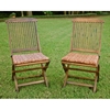 Tivoli Outdoor Wooden Folding Patio Chair (Set of 2) - INTC-VF-4116