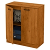 Axess Storage Cabinet - 2 Doors, Country Pine - SS-10188