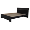 Vito Queen Platform Bed - Panel Headboard, Pure Black - SS-3170282