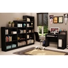 Axess Contemporary 4-Shelf Bookcase in Black - SS-7270767