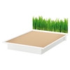 Step One Queen Platform Bed - Grass Decal, Pure White - SS-8050098K