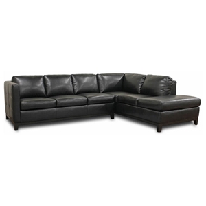 Rohn Black Leather Sectional with Chaise 