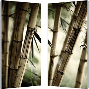 Bamboo Stalks Mounted Photography Print Diptych - Multicolor 