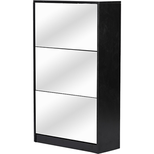 Albany Shoe Storage Cabinet - Mirror, Black 