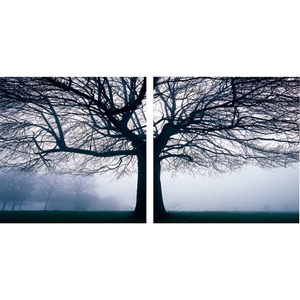 Morning Haze Mounted Photography Print Diptych - Black, White 