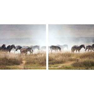A Zeal of Zebras Mounted Photography Print Diptych - Multicolor 
