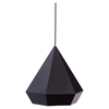 Forecast Black Ceiling Lamp - ZM-50168