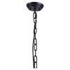 Masterton Distressed Black Ceiling Lamp - ZM-98422