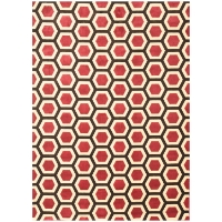 Sonoma Honeycomb Rug - Cranberry