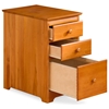 3-Drawer File Cabinet with Wooden Knobs - ATL-H-8013