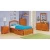 Windsor Twin Bed w/ Raised Panel Footboard and Storage Drawers - ATL-WTBRPFSD