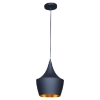 Berkley Pendant - Black and Gold, Single Light, Aluminum 