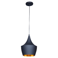 Berkley Pendant - Black and Gold, Single Light, Aluminum