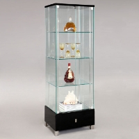 Minerva Glass Display Case