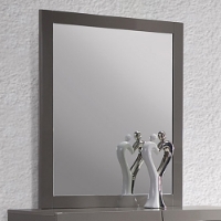 Delhi Mirror - Glossy Gray Frame