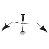 View Black Ceiling Fixture