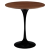Lippa 20" Wood Side Table - Black - EEI-270-BLK