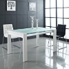Frosted Glass Top Dining Table - EEI-679