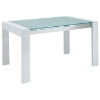 Frosted Glass Top Dining Table - EEI-679