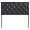 Theodore Queen Leatherette Headboard - Black - EEI-5129-BLK