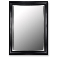 Carleigh Black and Stainless Steel Frame Petite Mirror - Made in USA