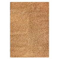 Evonne Hand Woven Polyester Shaggy Rug in Beige