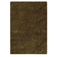 Evonne Hand Woven Polyester Shaggy Rug in Green