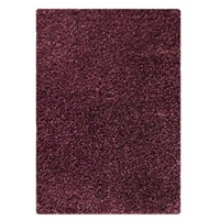 Evonne Hand Woven Polyester Shaggy Rug in Purple