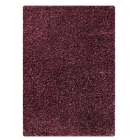 Evonne Hand Woven Polyester Shaggy Rug in Purple