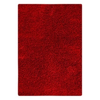 Evonne Hand Woven Polyester Shaggy Rug in Red