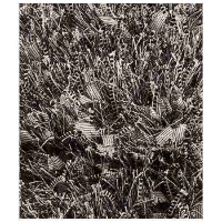 Lucetta Hand Woven Polyester Shaggy Rug in Licorice