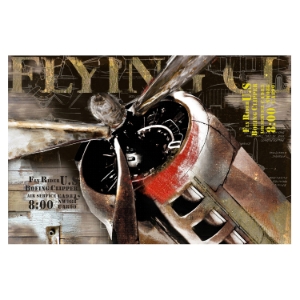 Flight Wall Decor 