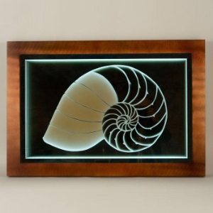 Nautilus Infinity Wall Graphic 