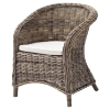 Wickerworks Bonsun Armchair with Cushion - Natural Gray (Set of 2) - NSOLO-CR08