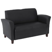 Breeze Contemporary Loveseat in Eco-Leather
