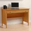 Ingram Contemporary Computer Desk - PRE-XWD-4730