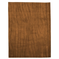 Ale - Burnt Orange Rug