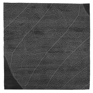 The Nature - Black & Silver Rug 