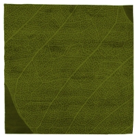 The Nature - Green Rug