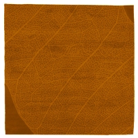 The Nature - Orange Rug