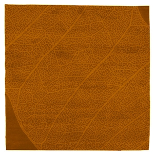 The Nature - Orange Rug 