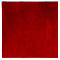 Wood - Red Rug