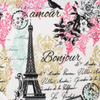Paris Futon Cover
