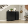Axess Storage Cabinet - 2 Doors, Pure Black - SS-10179