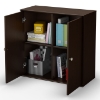 Store It 2-Door Storage Cabinet in Chocolate Brown - SS-5059773