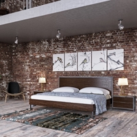 Nova Domus Conner 2 Pieces Modern Bedroom Set - Dark Walnut and Concrete