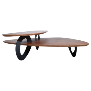 Modrest Sprig Coffee Table - Walnut, Black 